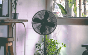 Best pedestal fans